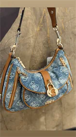 תיק גאס גינס קיילי