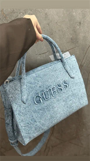 תיק גאס גינס קטיה